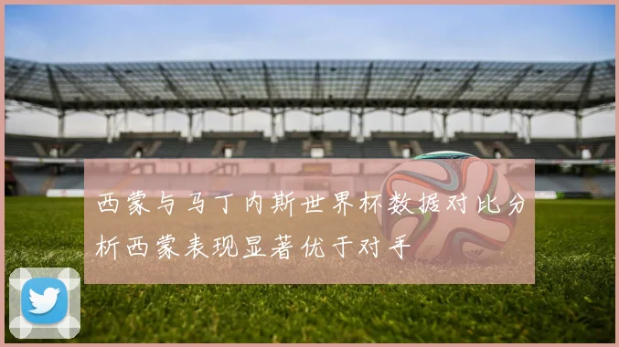西蒙与马丁内斯世界杯数据对比分析西蒙表现显著优于对手